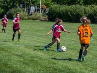 2024西海岸半马5月19日开跑 推出“号码定制”个性化服务