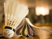 2025-2031年中国草甘膦市场现状研究分析与发展趋势预测报告